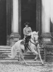 72 caballo andaluz- jerez de la frontera- cadiz